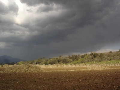 Parcela - Surcos - Toros de rastrojo - Nubes densas