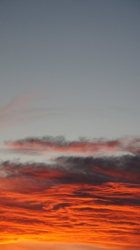 FOTOGRAFÍA [140 x 250]