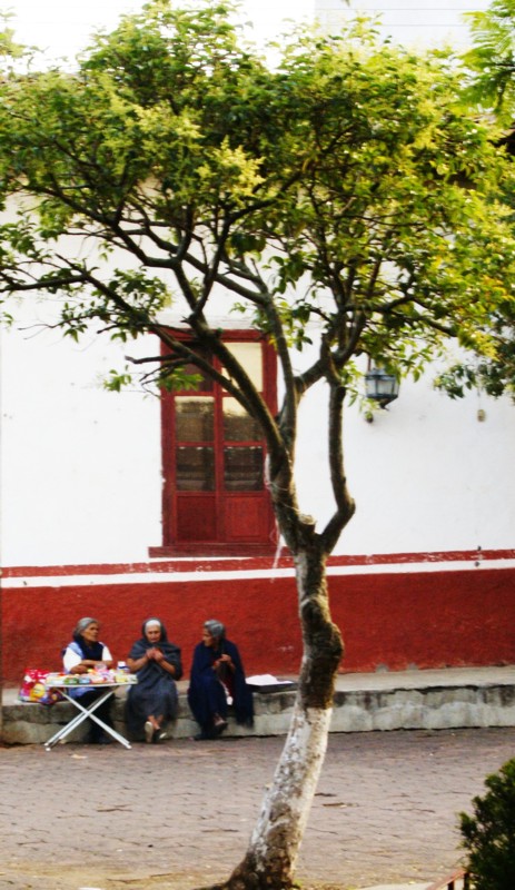 rbol, Personas, Ventana, Lmpara, Rojo, Blanco, Lneas.