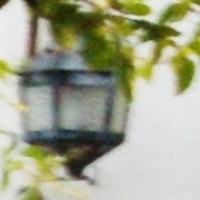 detallito - Lmpara y Hojas