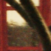 detallito - Partes Ventana rbol